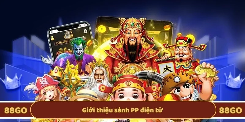 Giới thiệu sảnh PP điện tử