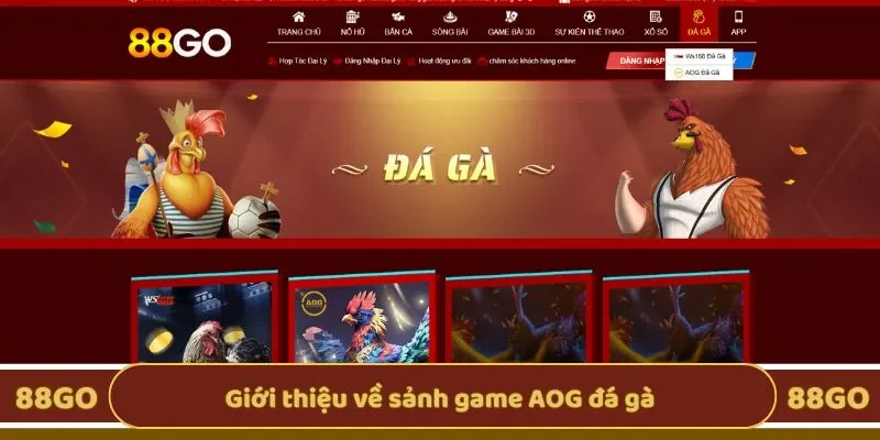 Giới thiệu sơ bộ về sảnh game AOG đá gà