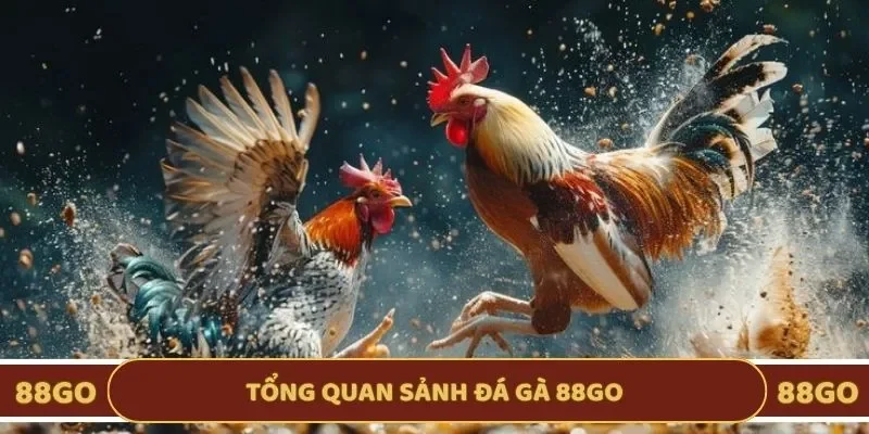 Khái quát sảnh đá gà 88GO