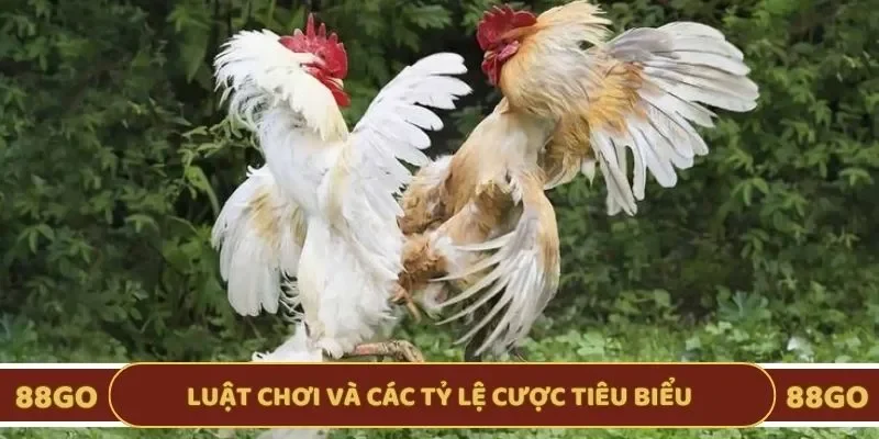 Luật chơi và tỷ lệ cược tiêu biểu